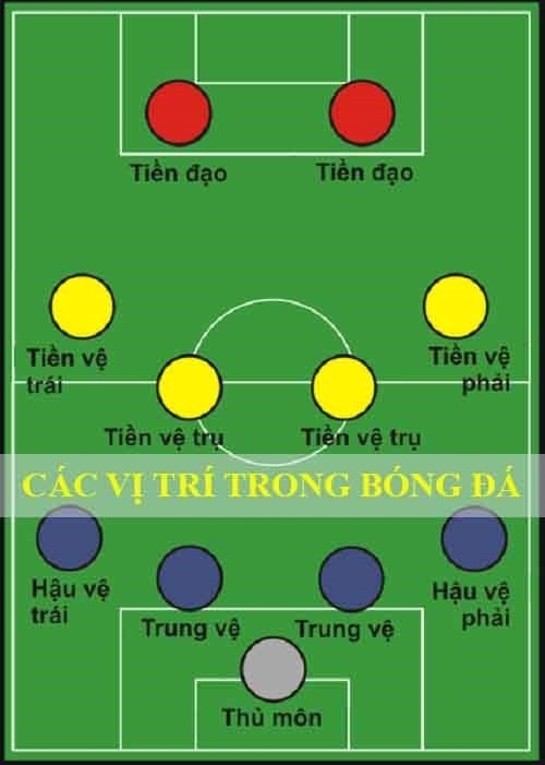 Các vị trí trong bóng đá bằng tiếng Việt