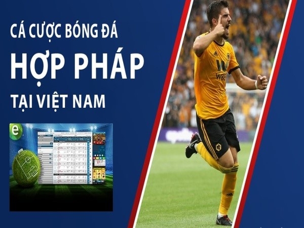 Luật cá độ bóng đá ở Việt Nam người chơi cần biết và nắm rõ