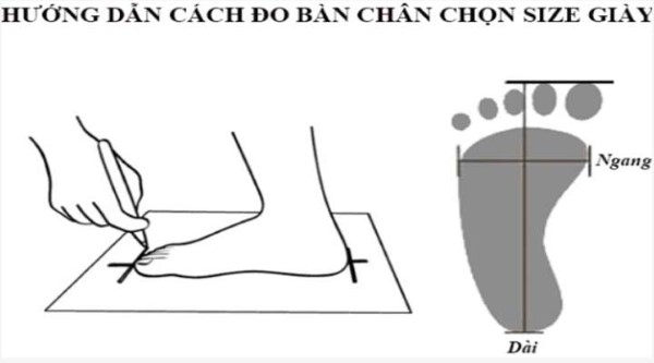 Hướng dẫn đo kích thước chân để chọn form giày chính xác