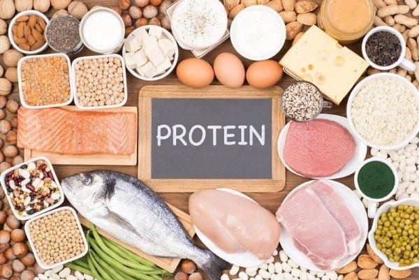 Protein đóng vai trò quan trọng trong việc xây dựng và sửa chữa cơ bắp