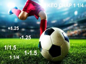 Hướng dẫn cách đọc kèo bóng đá chấp 1 : 1/4 (1.25 trái)